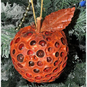 Lotus Pod Christmas Ornaments, Apples, Set of 5, Eco-friendly, Natural, Vintage